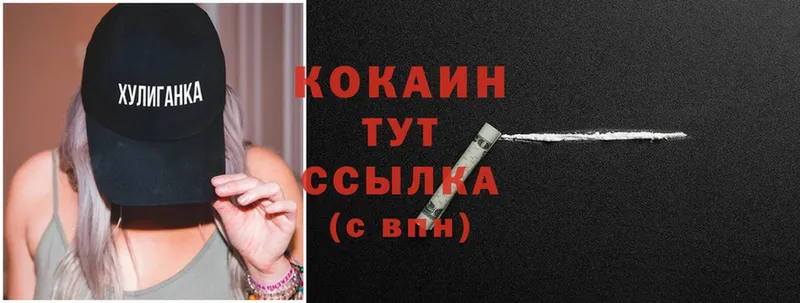 hydra как войти  наркотики  Торжок  COCAIN Fish Scale 